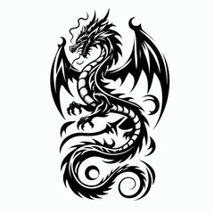 vector illustration dragon tattoo