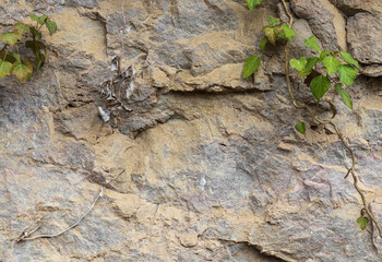 the structure of the rock surface in the section, quarrying in the natural environment, sunny day