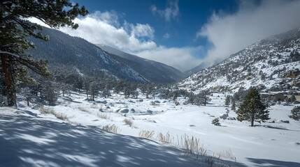 Obraz premium Snowy mountain valley with pine trees and shadows.