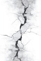 Fototapeta premium Cracked white surface, deep fissures