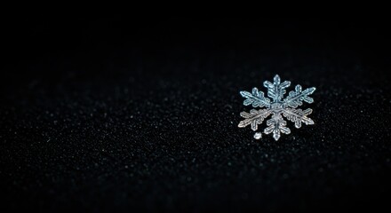 Intricate Ice Crystal Snowflake Macro Photography on Black Background