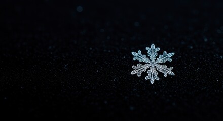 Intricate Ice Crystal Snowflake Macro Photography: Winter Wonderland Design