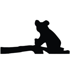 Koala comfort, simple and sweet.