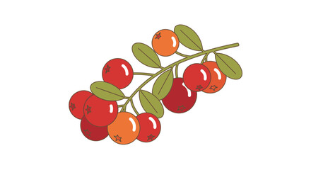 Obraz premium Detailed illustration of cranberries on a branch isolated over white