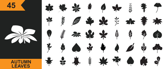 Set of autumn leaves icon. Vector illustration. isolated on white and black background. EPS 10