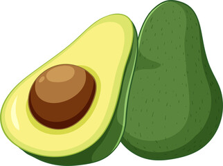 vector illustration of a avocado