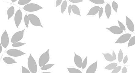 Floral frame design with leaves isolated PNG with Transparent Background
