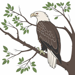 eagle in the tree