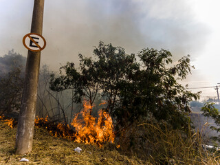 Dry bush catches fire next to a highway. In winter, with little rainfall, the forests that border...