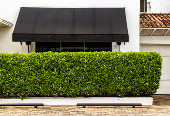 black awning over windows and green wall on the garden in Brazil. Canvas roof decoration of coffee...