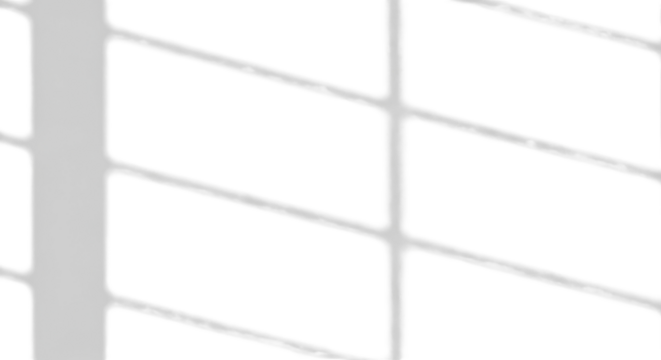 Window light shadows on a white wall isolated PNG with Transparent Background