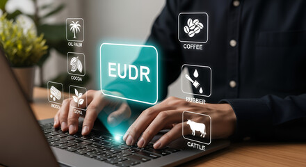 Implementation of the EU Deforestation Regulation (EUDR) concept. Using laptop with icons of regulated commodities; oil palm, soya, wood, cocoa, coffee, cattle, rubber. Traceability, sustainability.