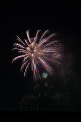 夜空に咲く大輪の花