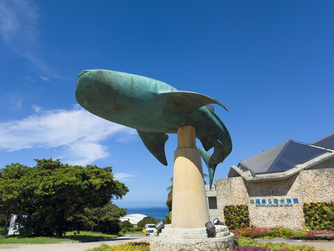 沖縄美ら海水族館と象徴のジンベエザメ像