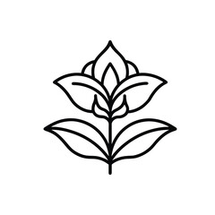 Canna lily outline vector icon