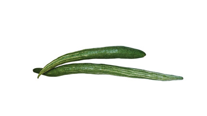 Snake gourd isolated on white background