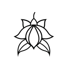 Fuchsia flower outline icon on white background