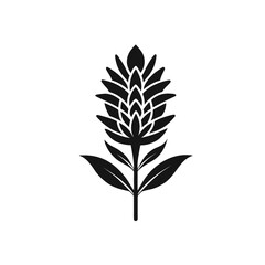 Grevillea flower silhouette icon