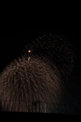 夜空を彩る幻想的な花火