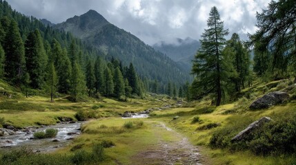 Fototapeta premium Mountain valley landscape with path