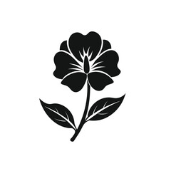 Lechenaultia flower silhouette icon