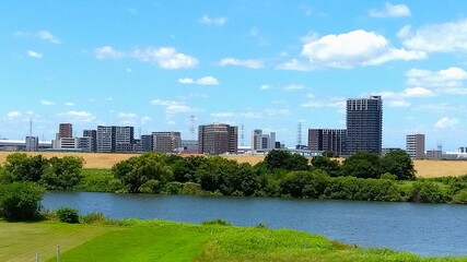 夏の土手から見る江戸川と対岸の三郷中央駅付近のマンション群風景