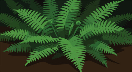 Lush ferns with curled fronds on a dark ground offer a vibrant scene