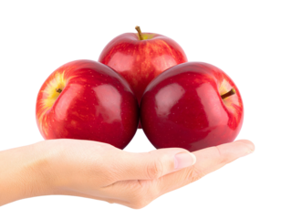 red apple in hand png image