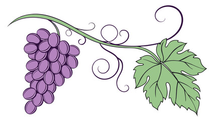 Obraz premium Ornate Grapevine Cluster with Leaves.