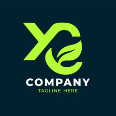 ZD letter green leaf logo design