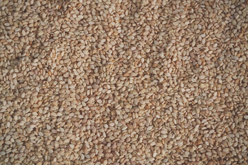 Full frem Organic White Sesame seeds or Til on white background.