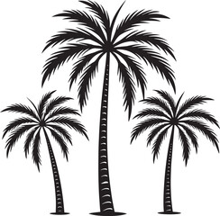 Obraz premium Three Black Palm Trees Silhouette on White tropical