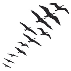 Flock of geese flying in formation against a black background symbolizing migration and unity
