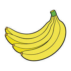 Plantains are starchy, banana-like fruits often cooked before eating. Popular in tropical cuisines, they’re great fried, boiled, or baked for savory or sweet dishes.
