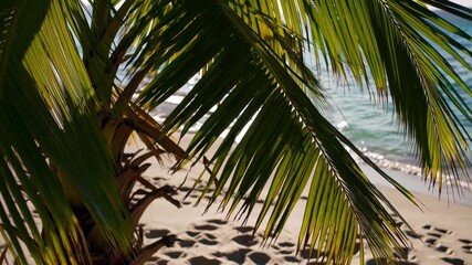 A serene beach video with a low-angle view through palm leaves, capturing sunlight and turquoise waves for a tropical escape feel. Live desktop wallpaper.