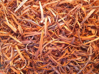 A loosely gathered pile of wood shavings is shown, made up of thin, curled pieces in light beige and tan tones