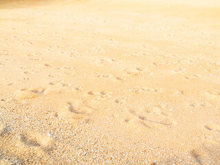 Nature travel background, sand beach close up texture summer desert zen garden coast ocean for...
