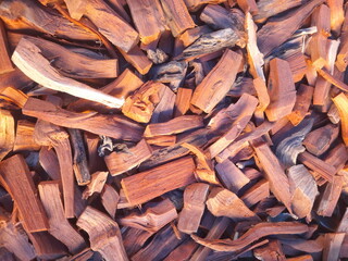 A loosely gathered pile of wood shavings is shown, made up of thin, curled pieces in light beige and tan tones