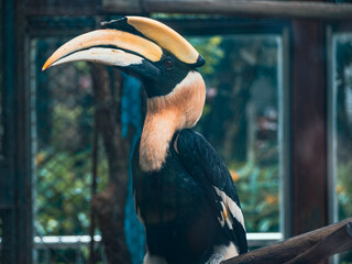 ハノイのトゥーレ公園