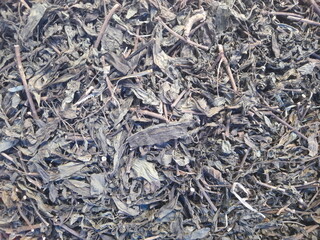 tea leaves background top view images