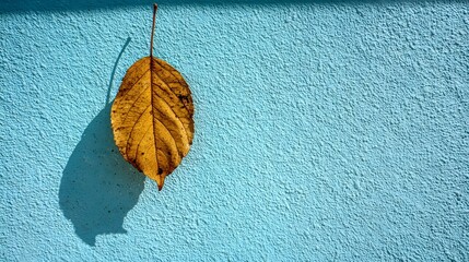 A single, dried leaf hangs against a textured blue wall.