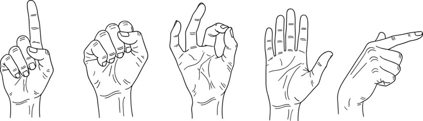 Hand gesture illustration set, outline hands showing signs, finger pointing, OK symbol, fist, open palm, vector line drawing for communication concepts