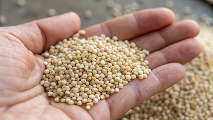 Close-Up of Hand Holding Quinoa Seeds on Natural Background