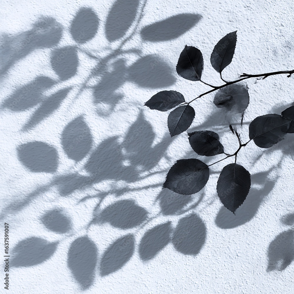 Aufkleber branch with leaves casting a shadow on a textured white wall in a monochromatic color scheme