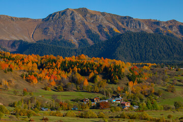 Şavşat (Georgian: შავშეთი, romanized: shavsheti) is a town in Artvin Province in the Black Sea region, between the cities of Artvin and Kars