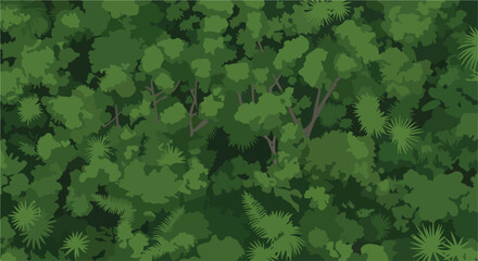 Obraz premium Dense foliage canopy trees, palms, ferns, dark and light greens creating abstract design