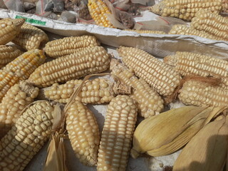 corn on the cob top view images