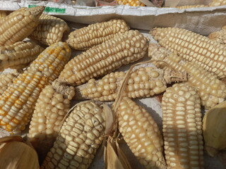 corn on the cob top view images