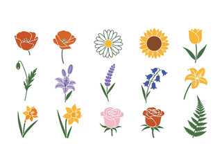 Floral Array: A collection of artfully rendered flowers, including poppies, daisies, sunflowers, tulips, lilies, lavender, bluebells, roses and ferns.