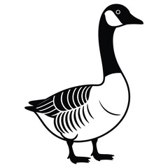 goose isolated on white background